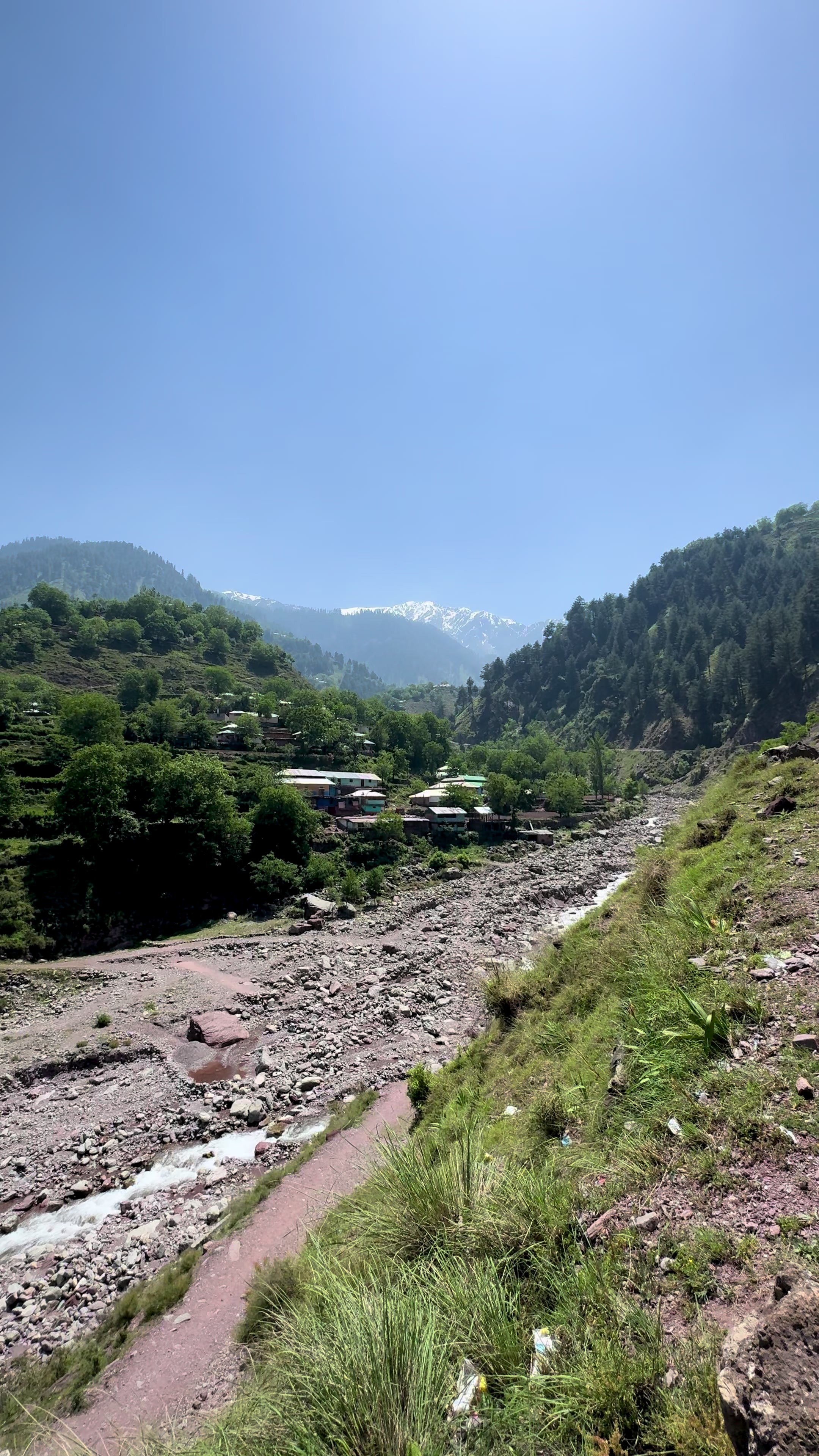 @Shogran Vibes