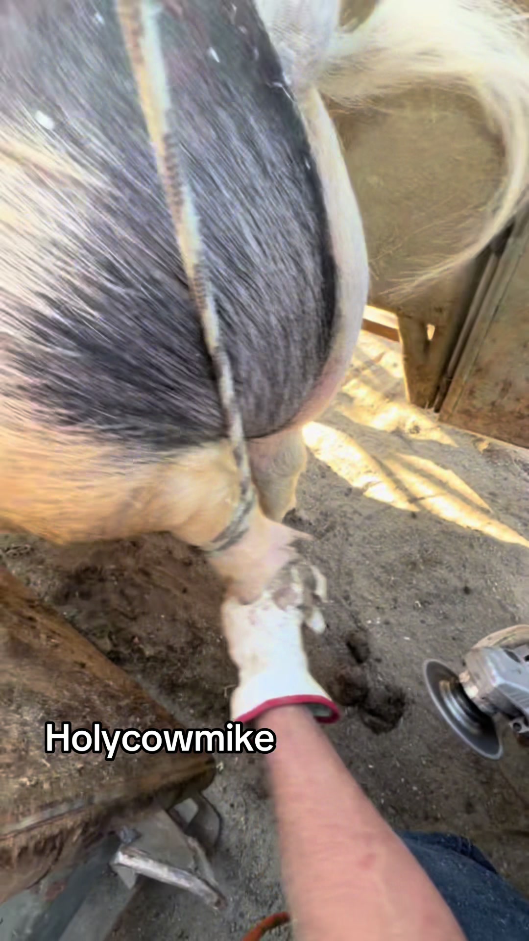 @Mike devries