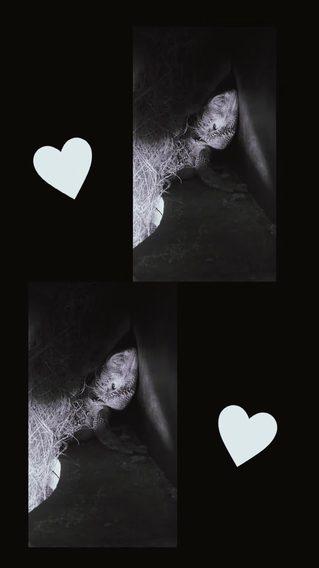 @๐ฉChanni๐โค๐ฉ๐ฅ