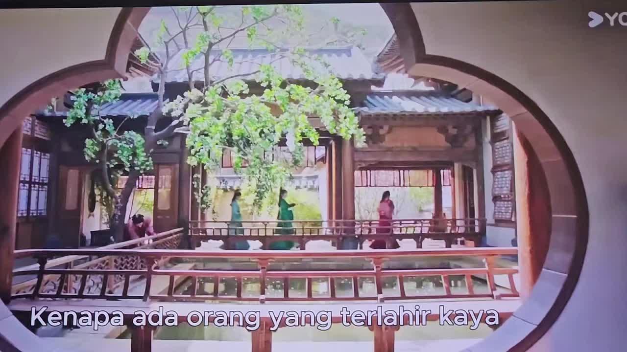 @Ani