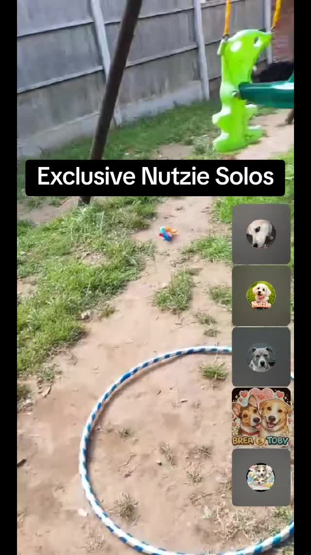 @BordercolliesAnonymous