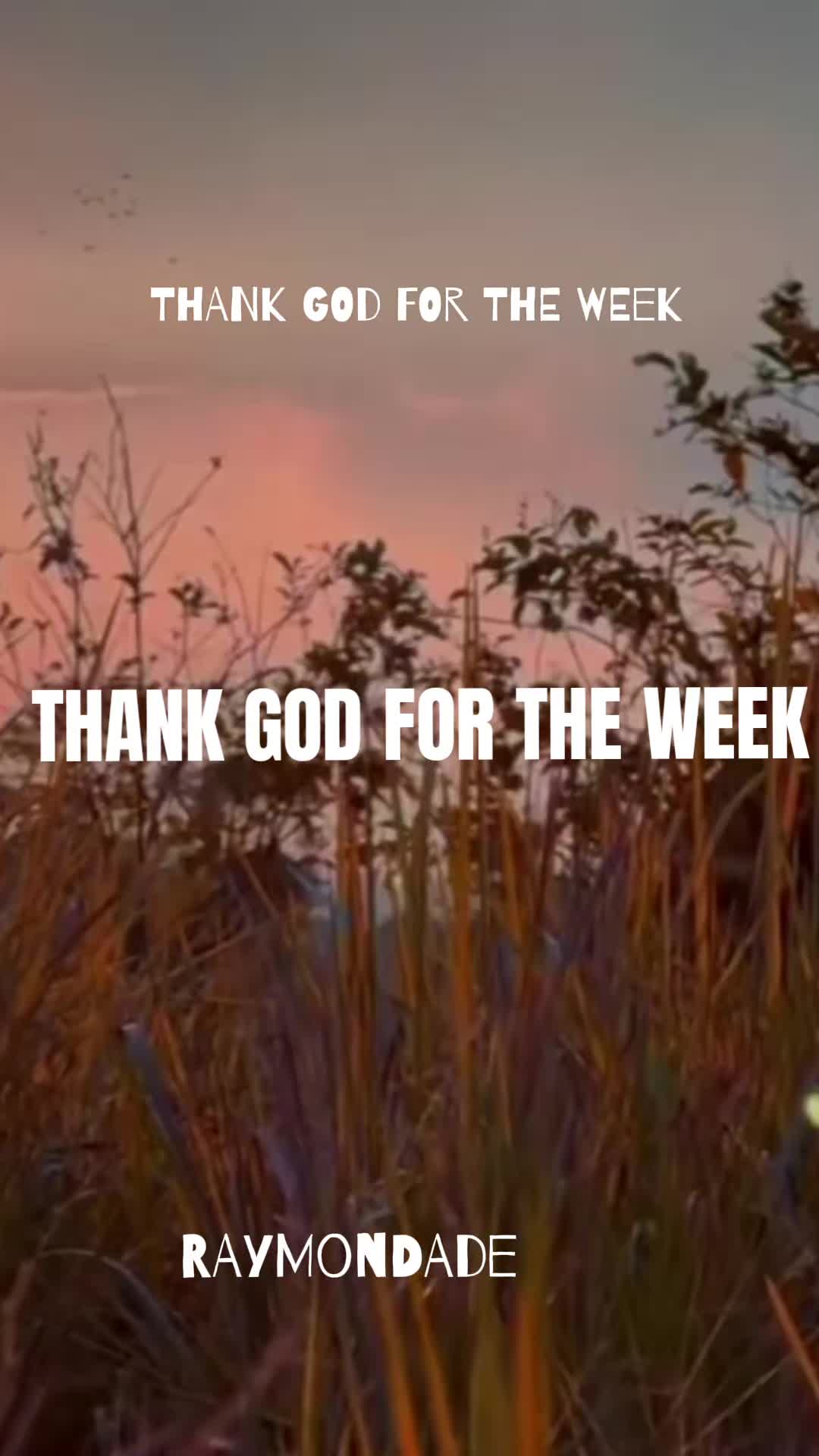@RAYMONDADE