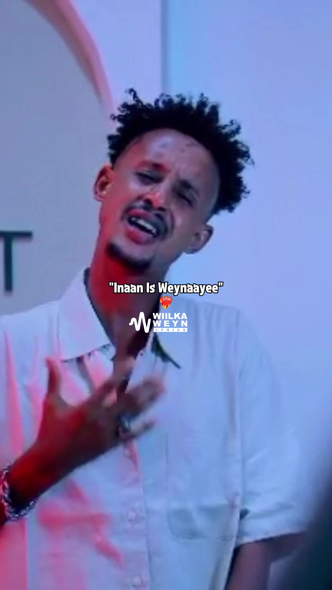 @Wllka Weyn&bull;
