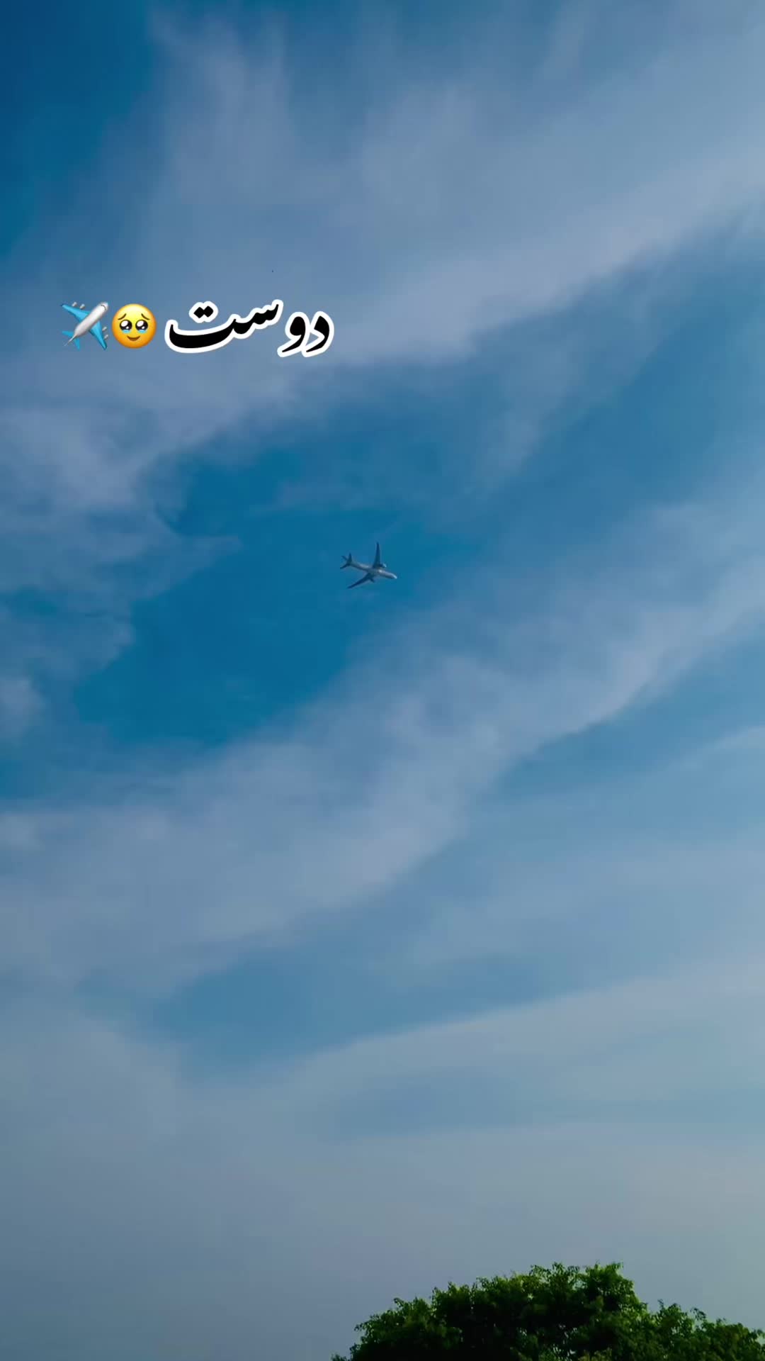 @پنجاب زادہ🌿