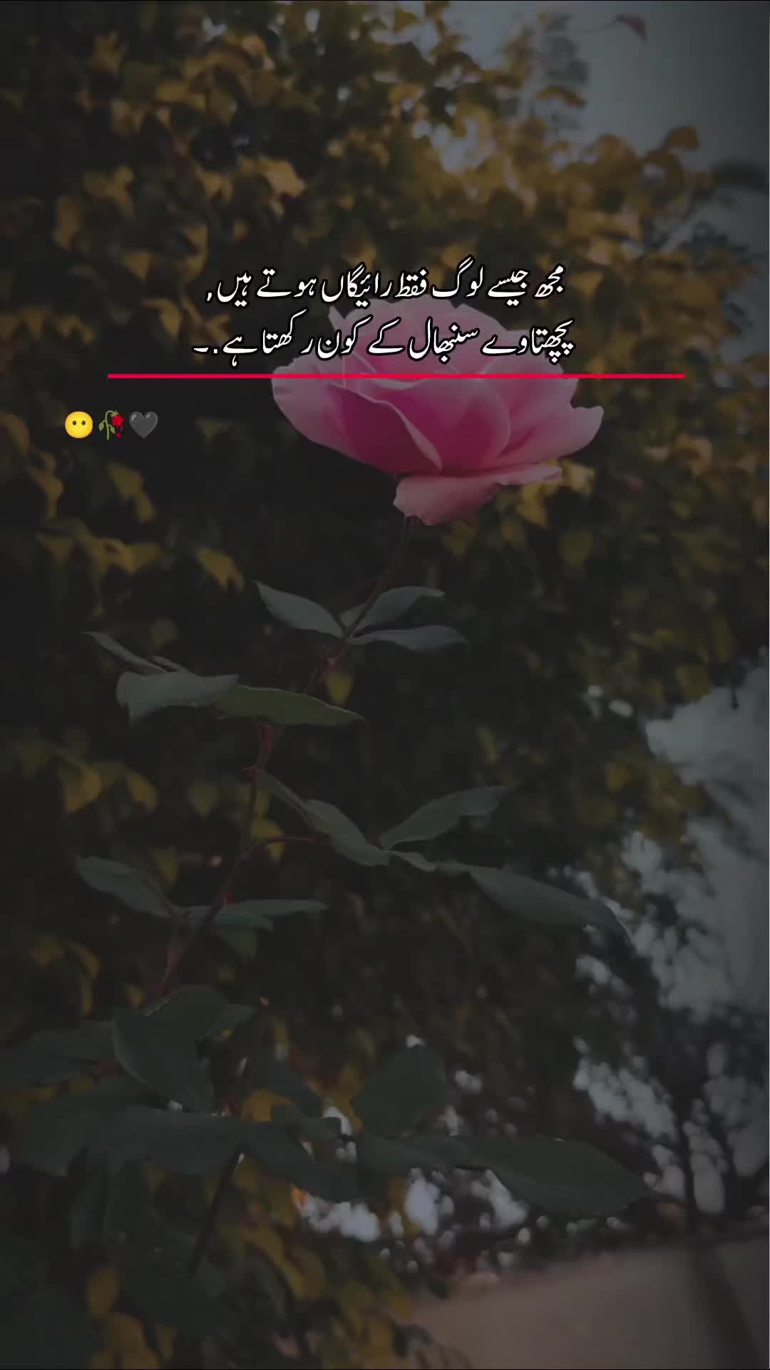@☆ʀᴀجᴘᴏᴛ☆👑