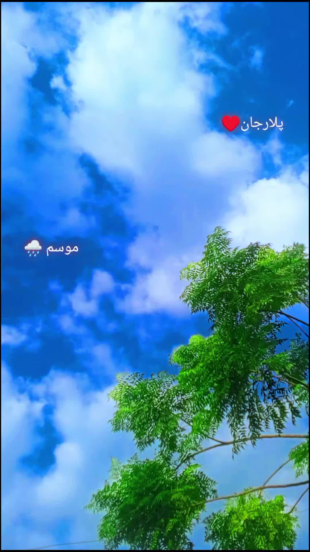 @Aisha🫶