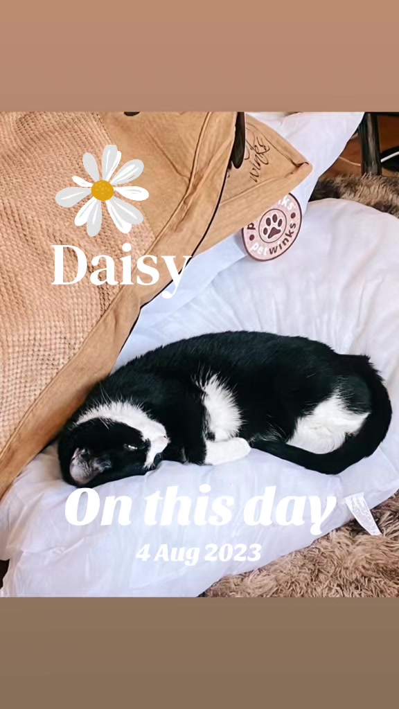 @Dazzled 🖖