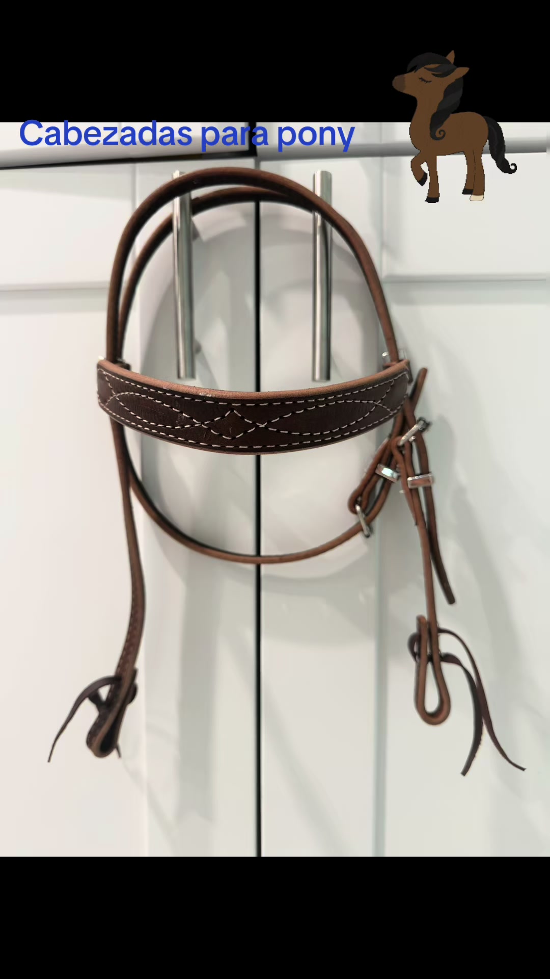 @Yaque/yohan ( leather )