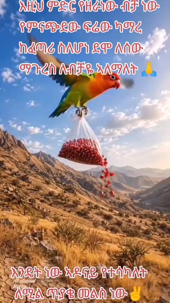 @🦋𝗮𝗳𝗿𝗶𝗰𝗮𝘄𝗶𝘁💝𝟰𝟰𝟰