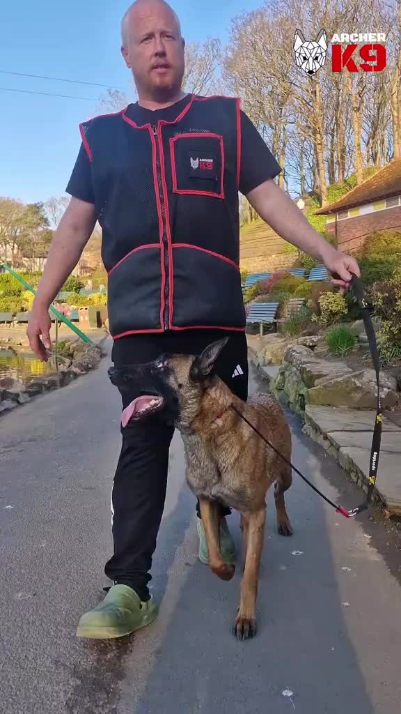 @Archer K9