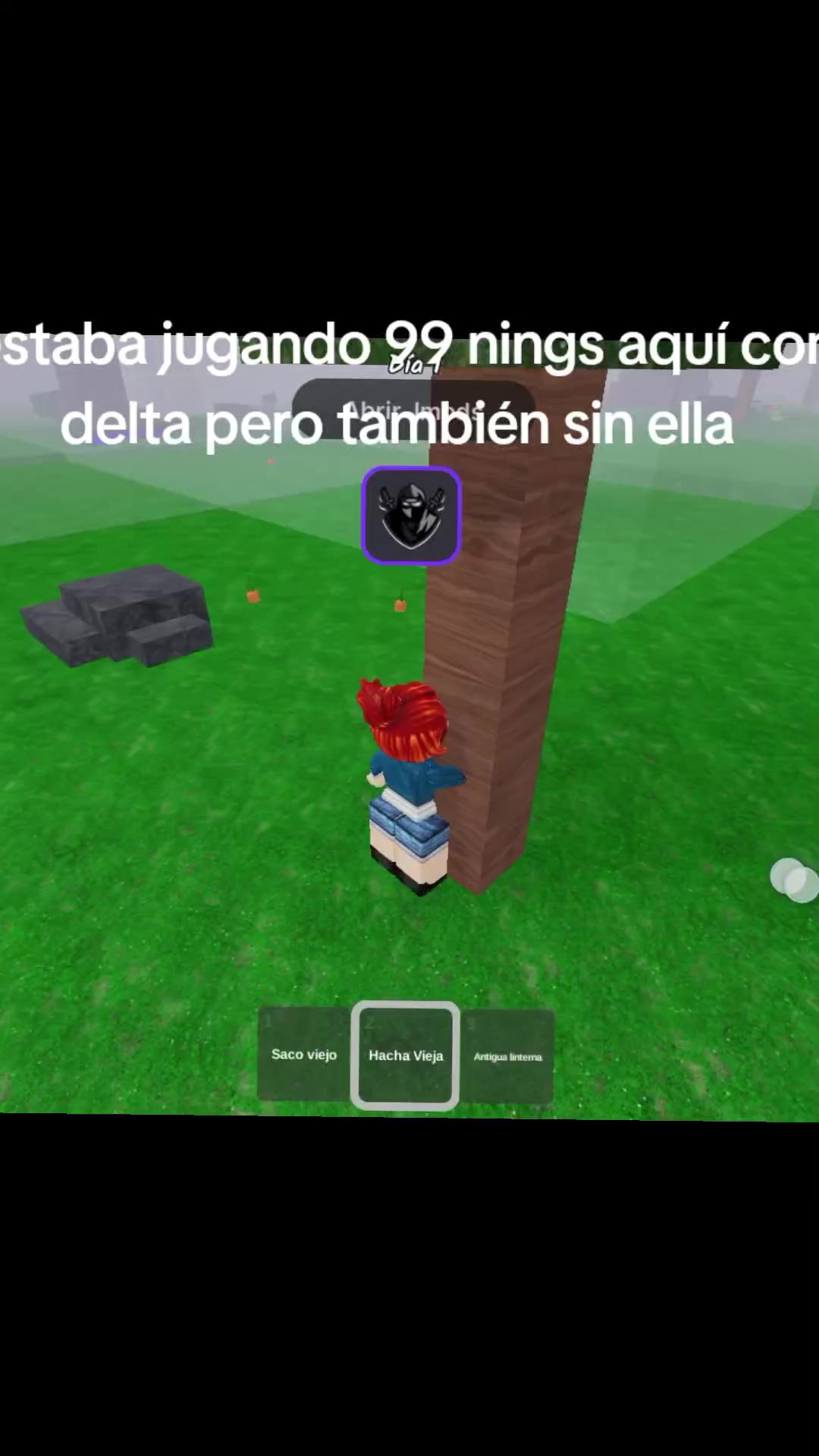 @Robloxina3000