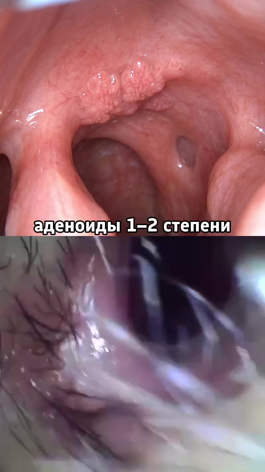 @Lorami_center_astana