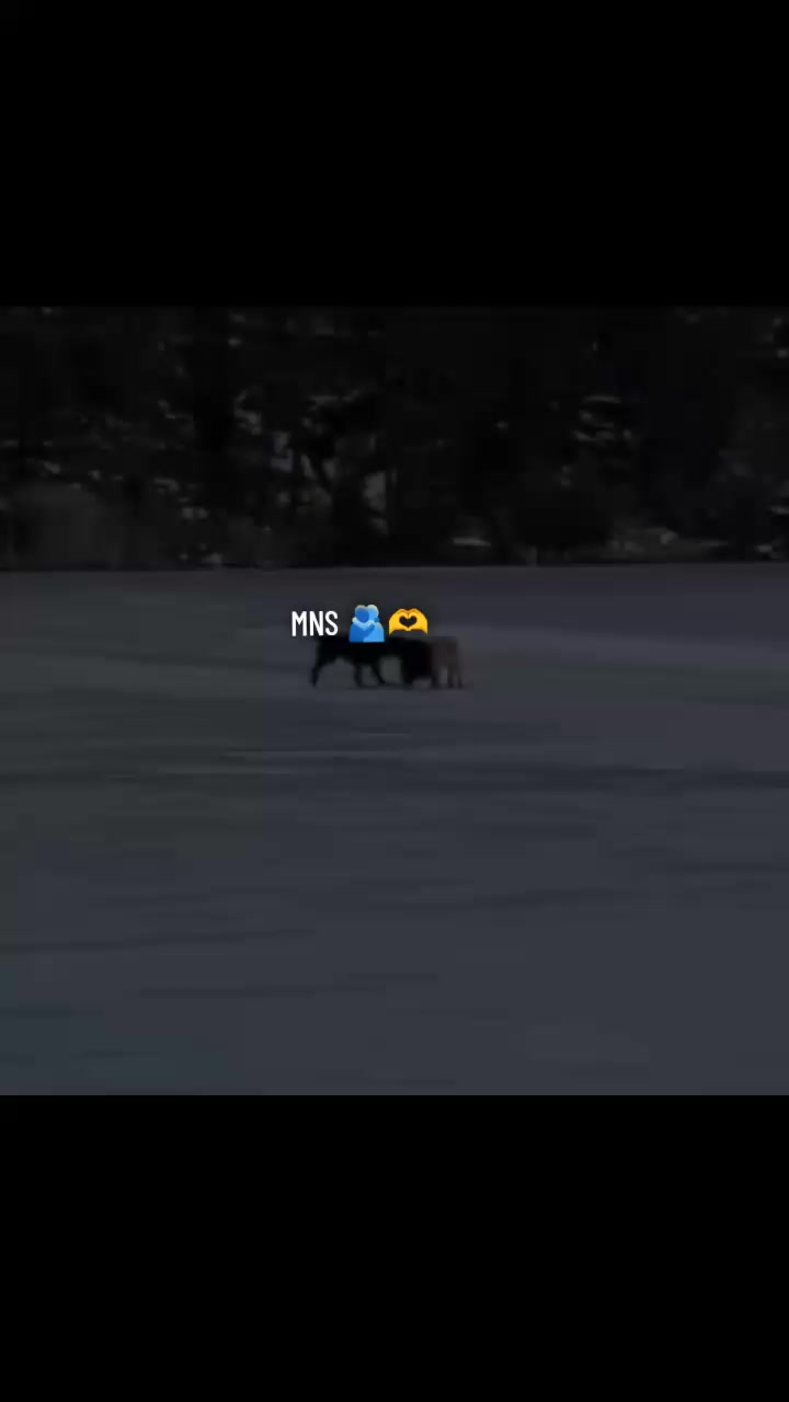 @๐โก"ู
ุญู
ุฏ ุถูุงุก ุงูุฑุญู
ุงู"๐๐น