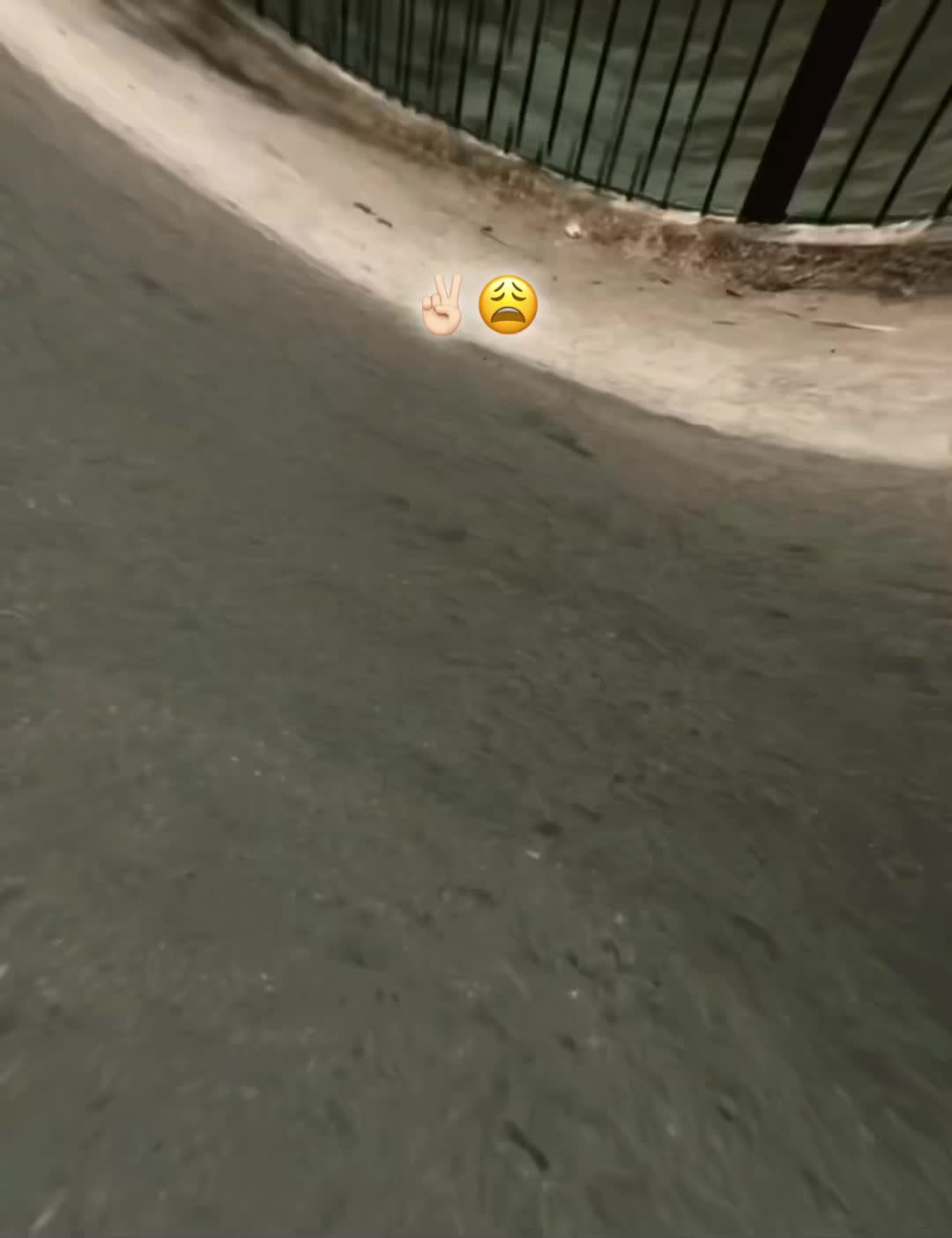 @ᴍᴀʟᴀɴɢ ᴊᴀɴ ❗️
