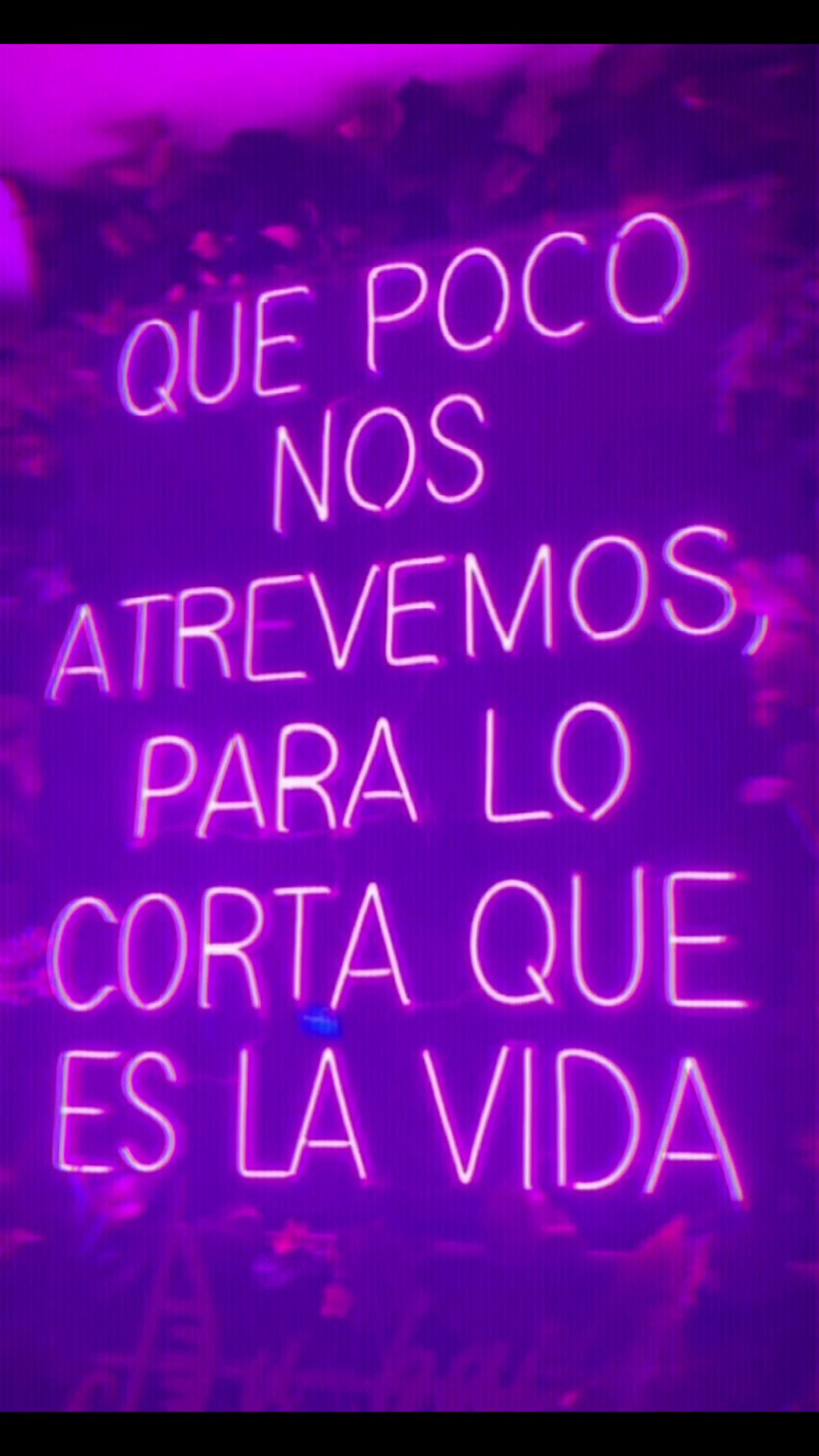@Diana Mora