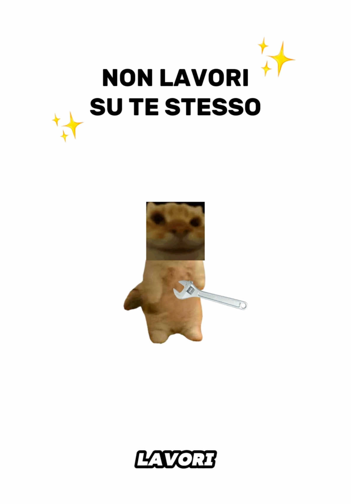 @Grattino😻