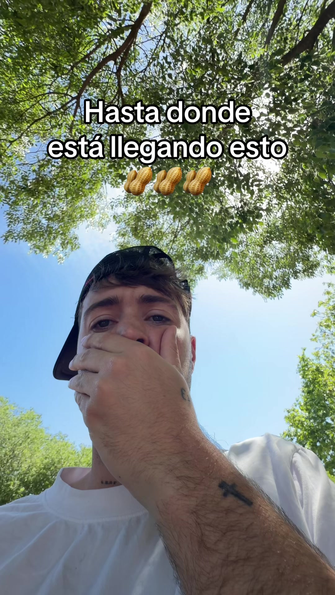 @lasotanita