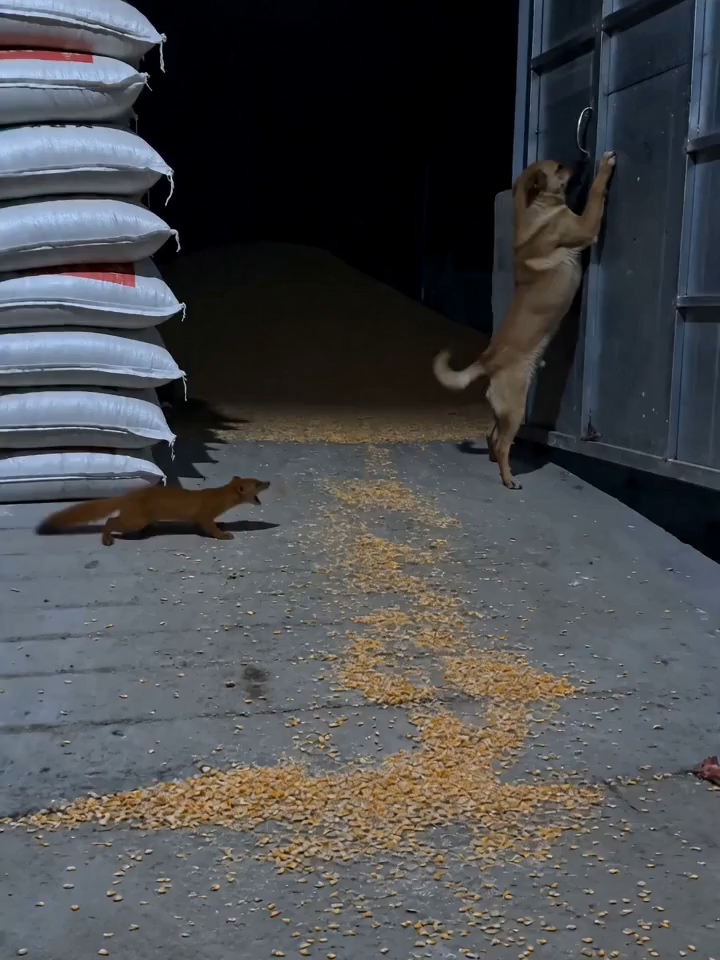 @NutsyFarm
