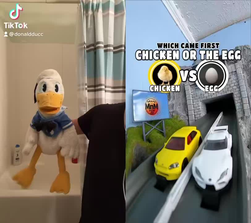 @DonaldDucc 🦆