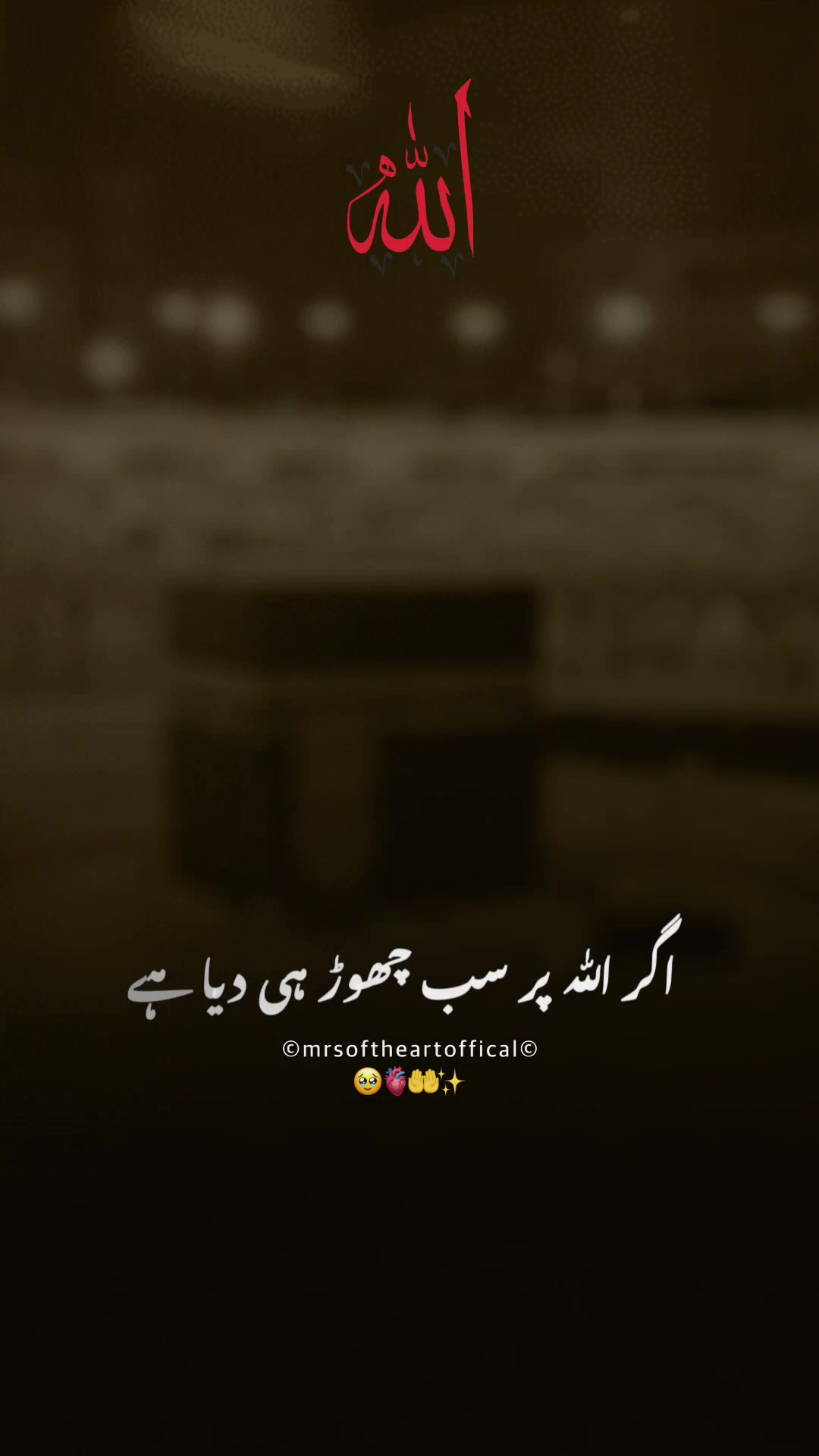 @Iffat.M