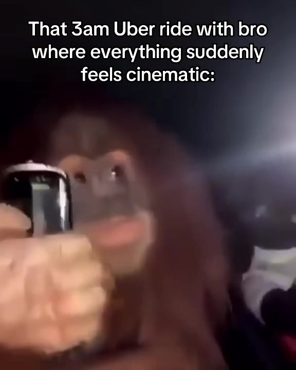 @TightMemes 👌