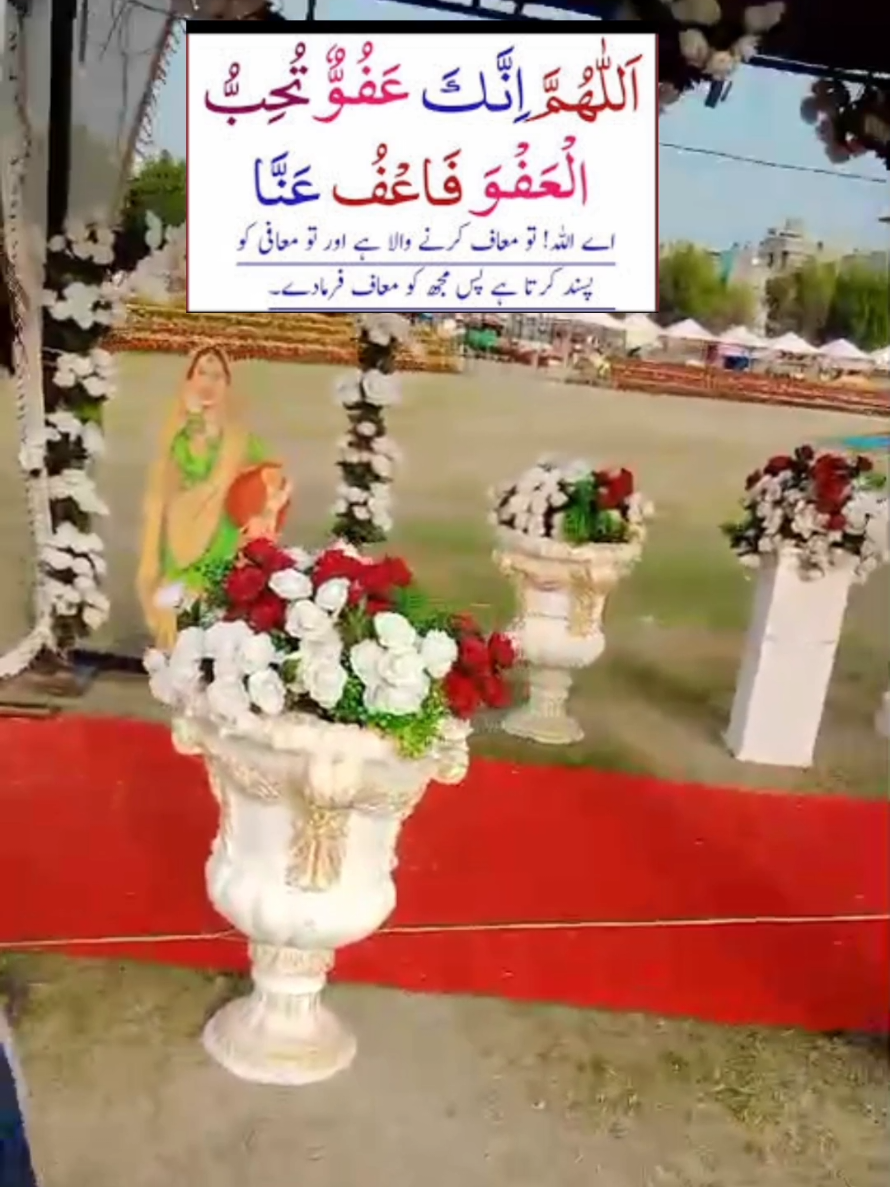 @Aniqa Tahir