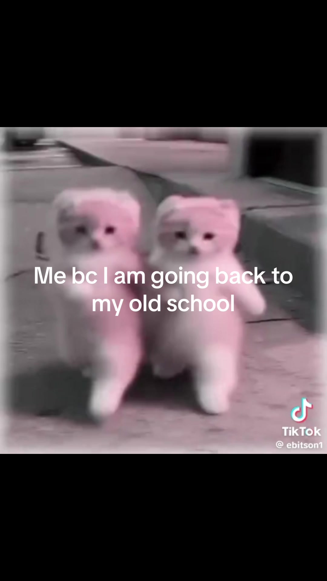 @𝓩𝓮𝓻𝓸🙊🌮