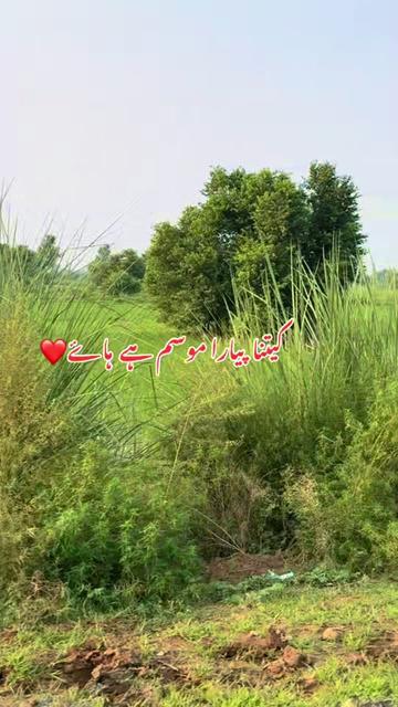 @bigboss02025