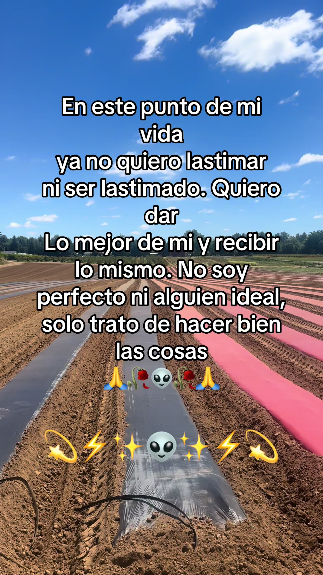 @⚜️✨🪗pablocarbajal63🪗🔱👑🦾🦍
