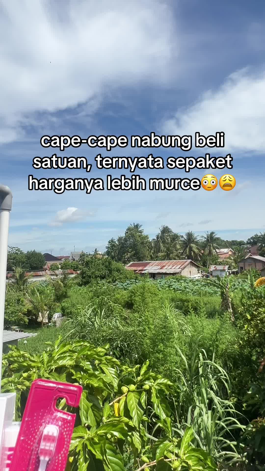 @cha.store12