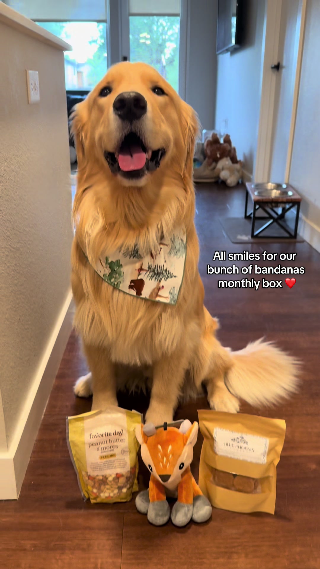 @rigatoni_thegolden