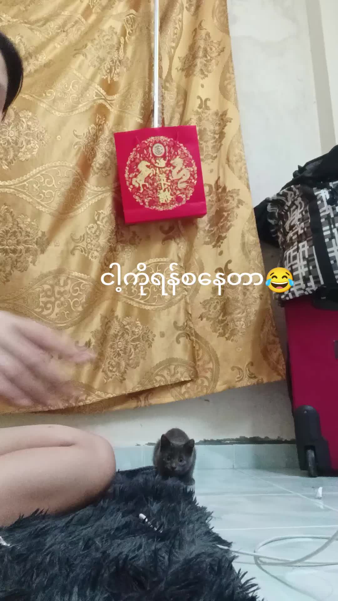 @Pa Pa Sein Pa Pa Sein