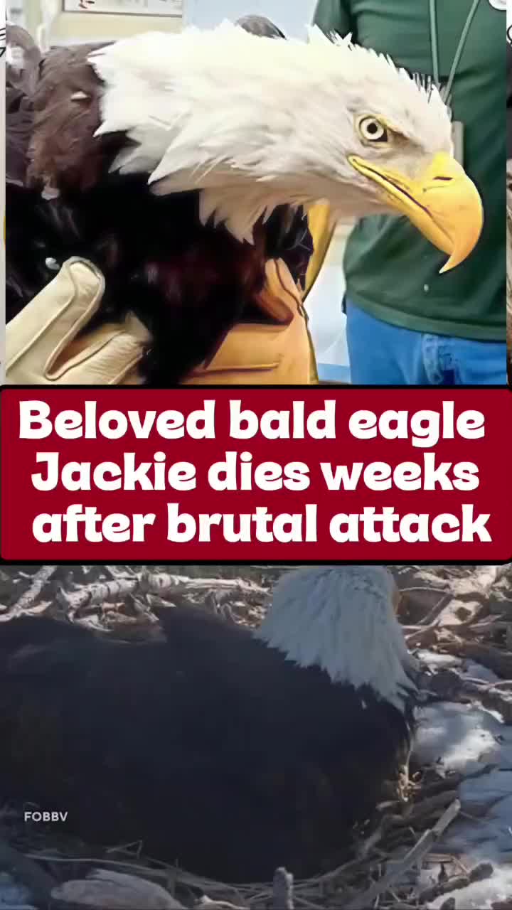 @TOP NEWS