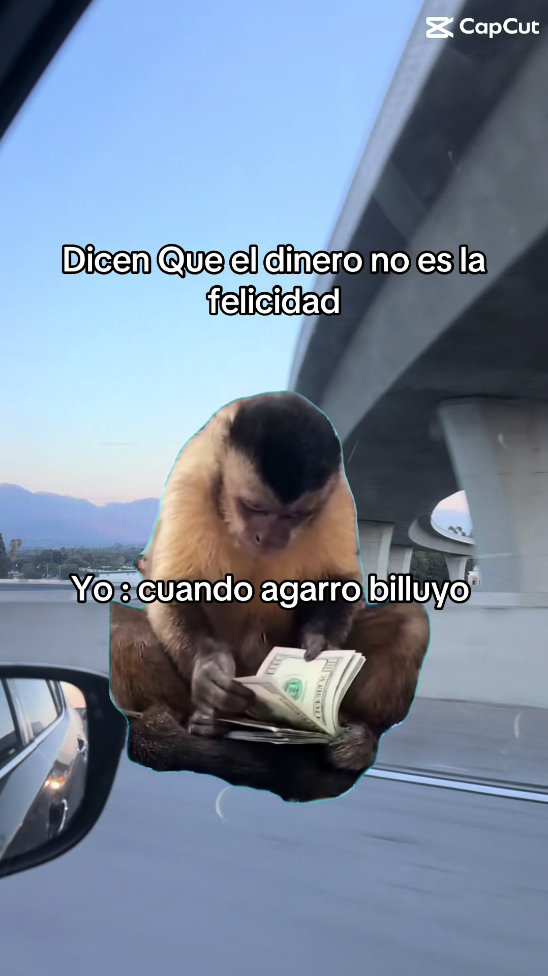 @Irma De Santos