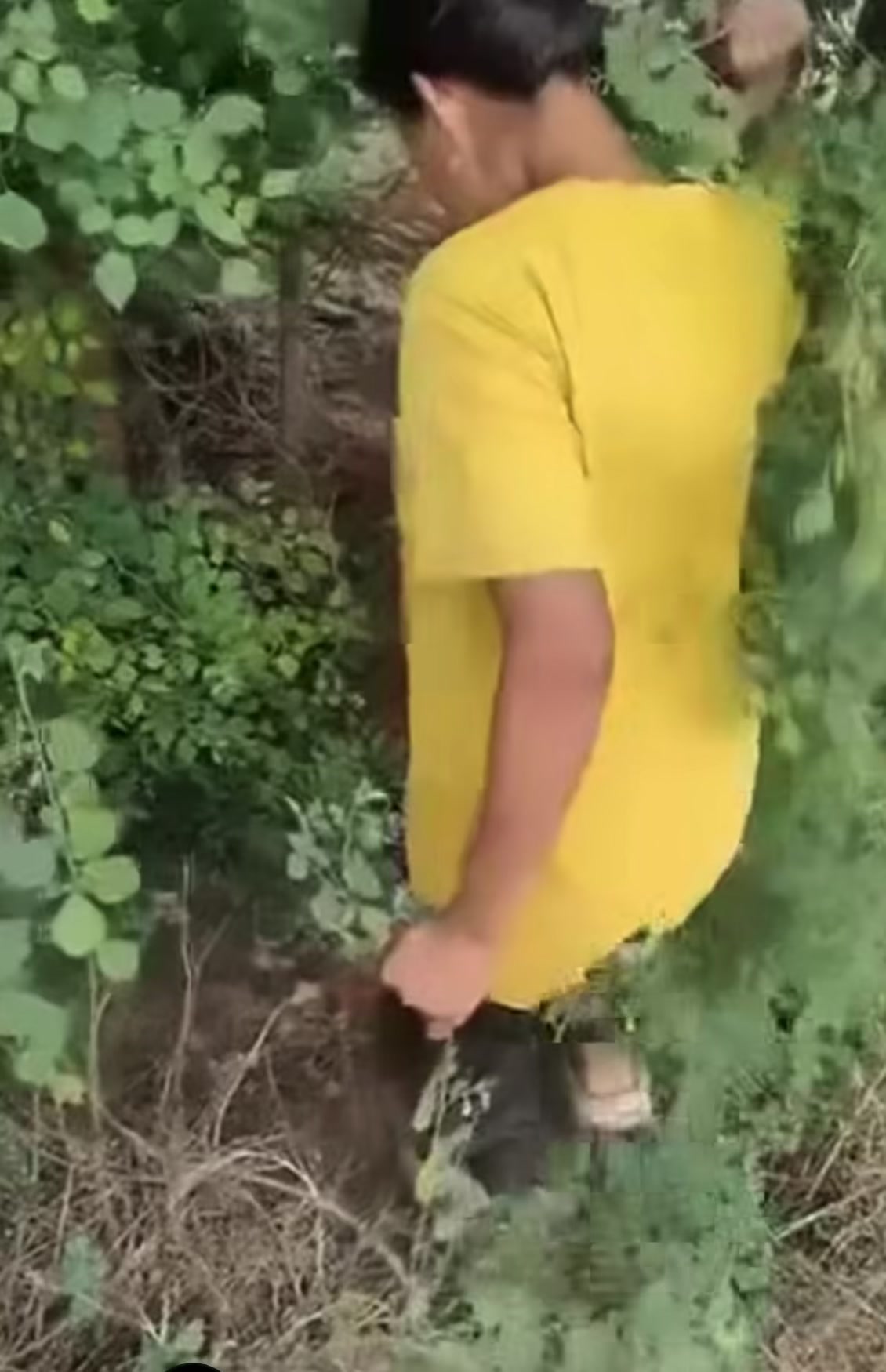 @yamtamu65