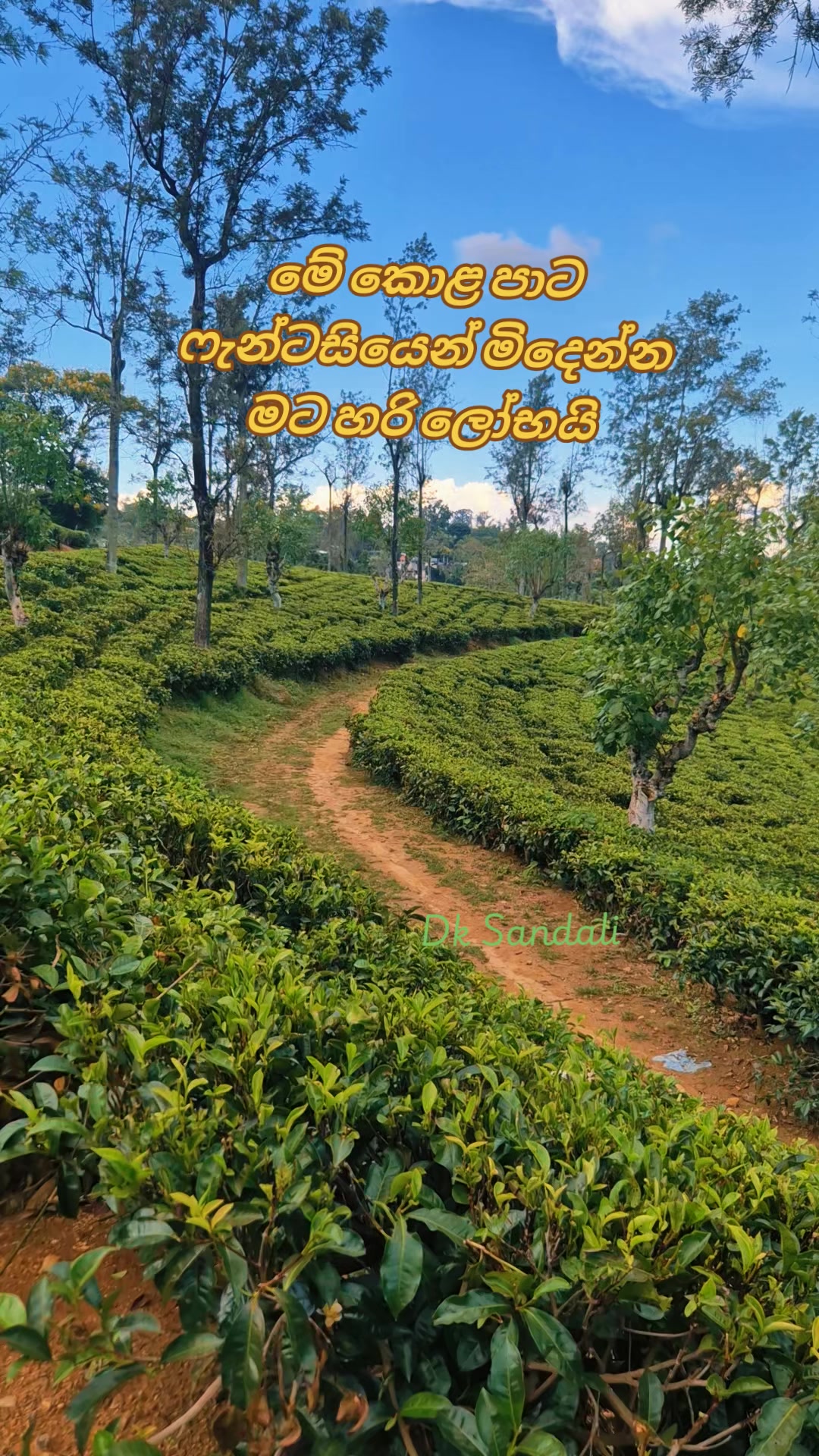 @Days of DK & Sandali
