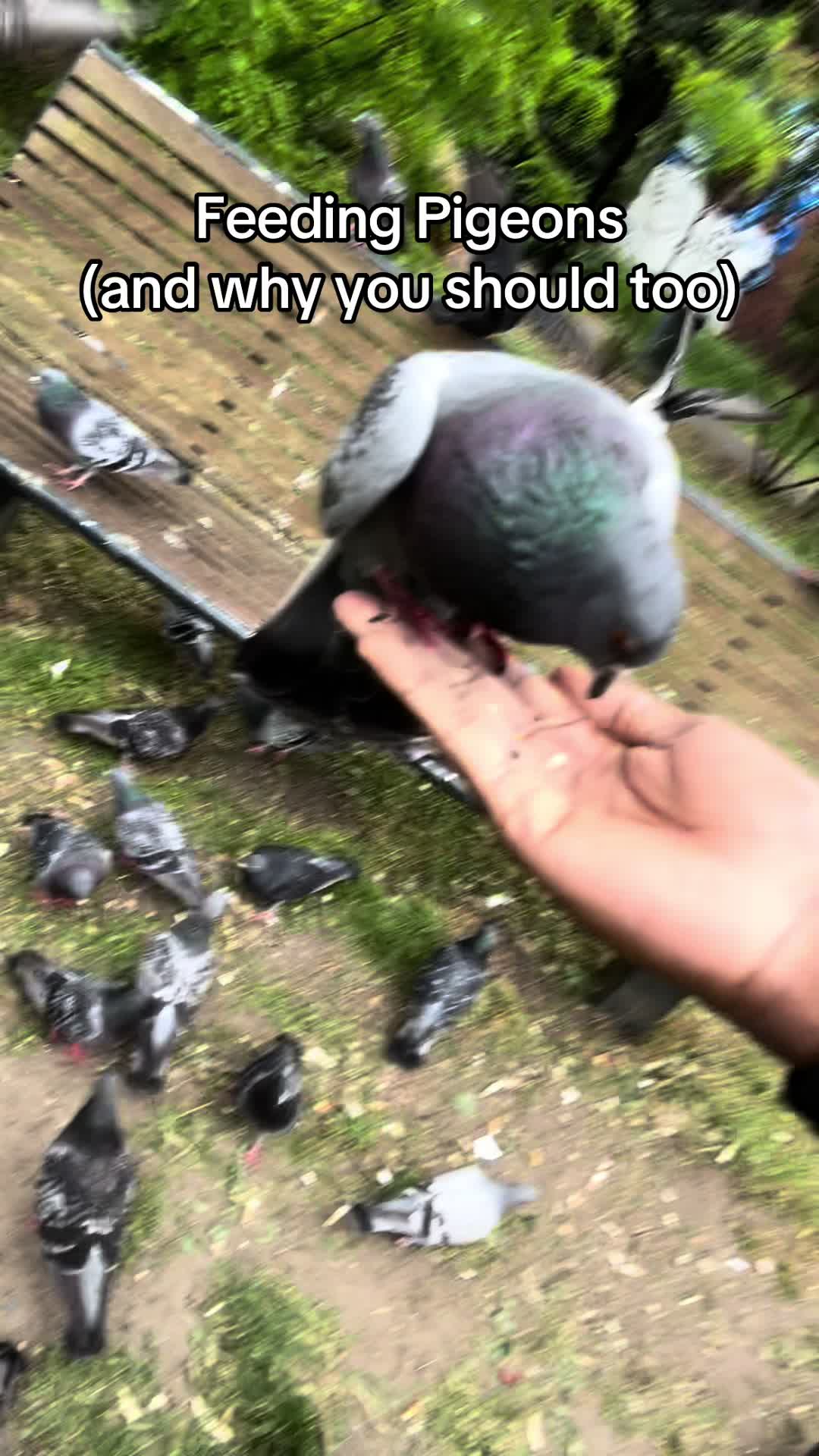 @sinstack