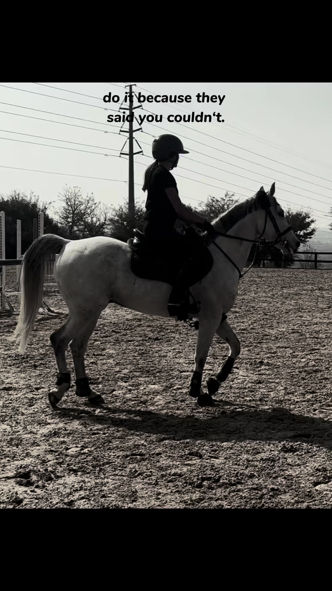 @Jay equestrian