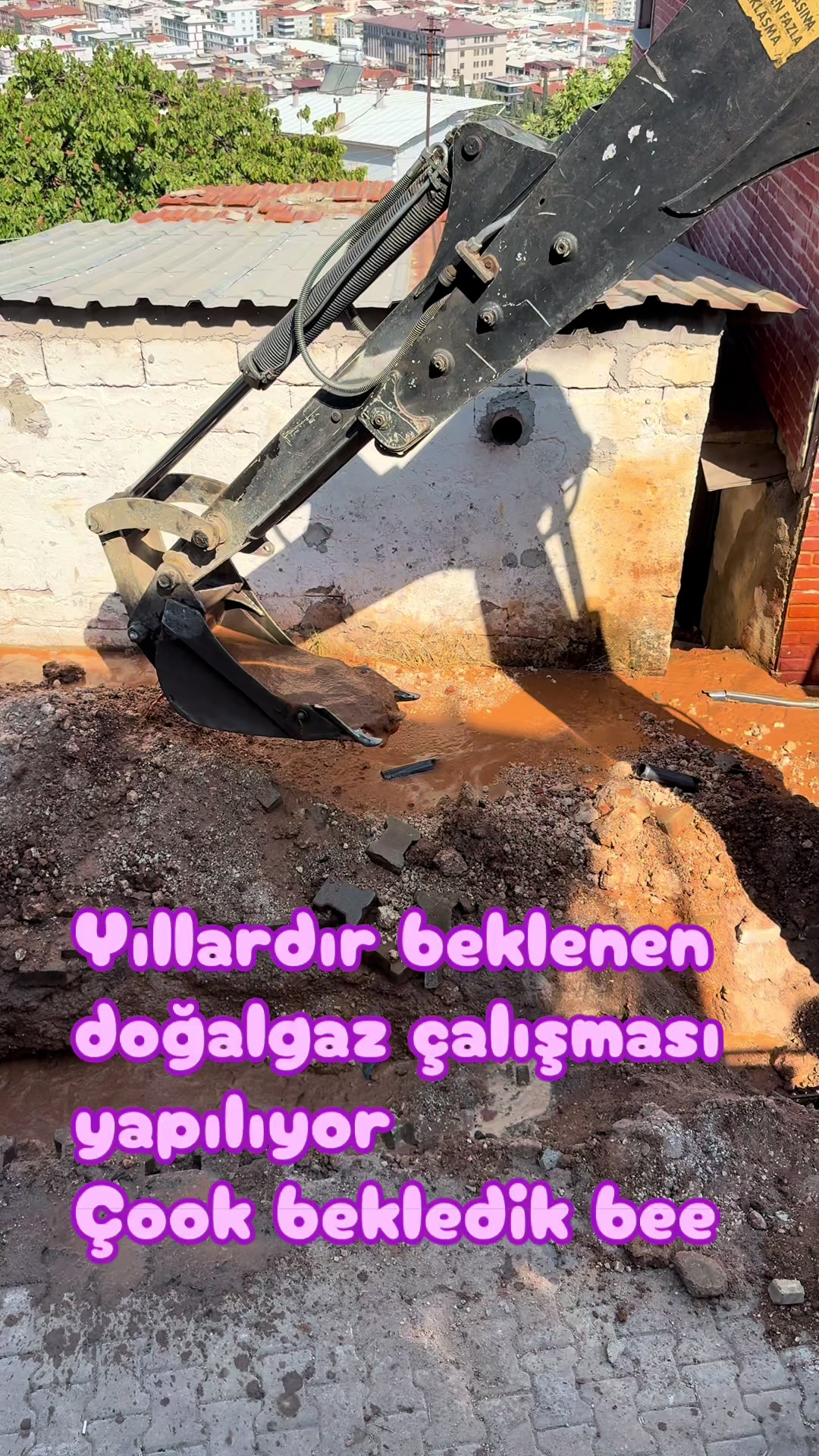 @🦅꧁𝓝𝓮𝓼𝓲𝓫𝓮꧂