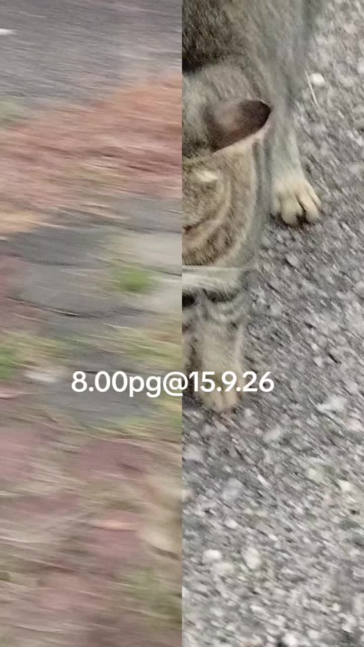 @MaderCats
