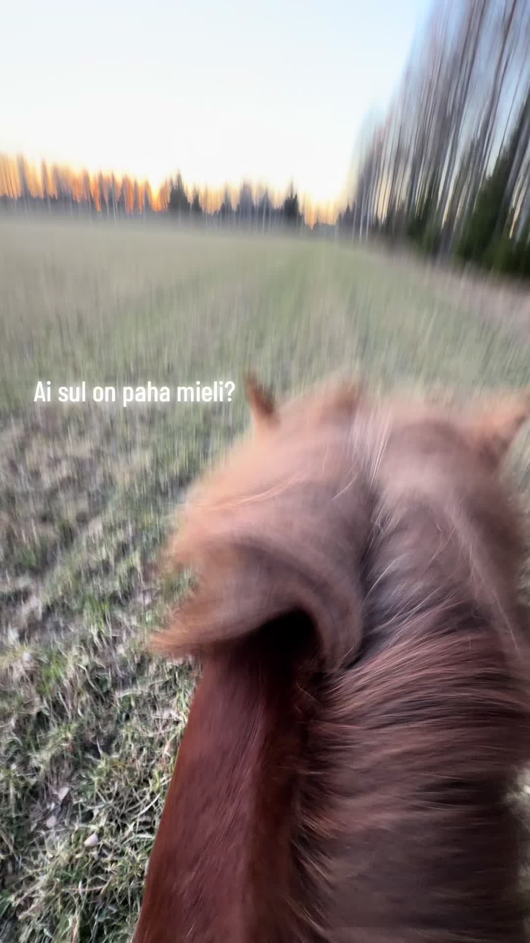 @Oona Tissari🖤