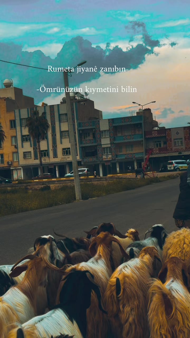 @Nusaybin Burada 📍