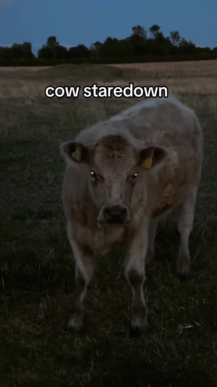 @𝐦𝐚𝐫𝐜𝐟𝐨𝐱