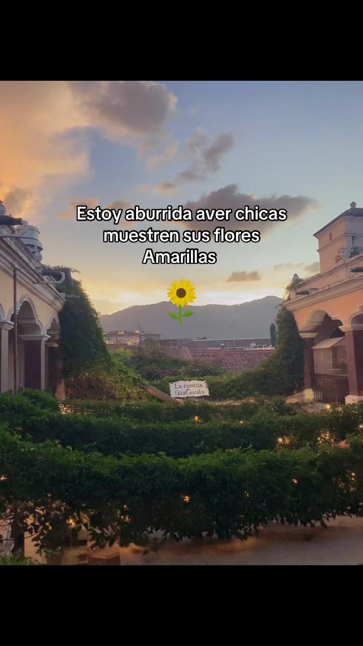 @Dayana Mendez๐ธ