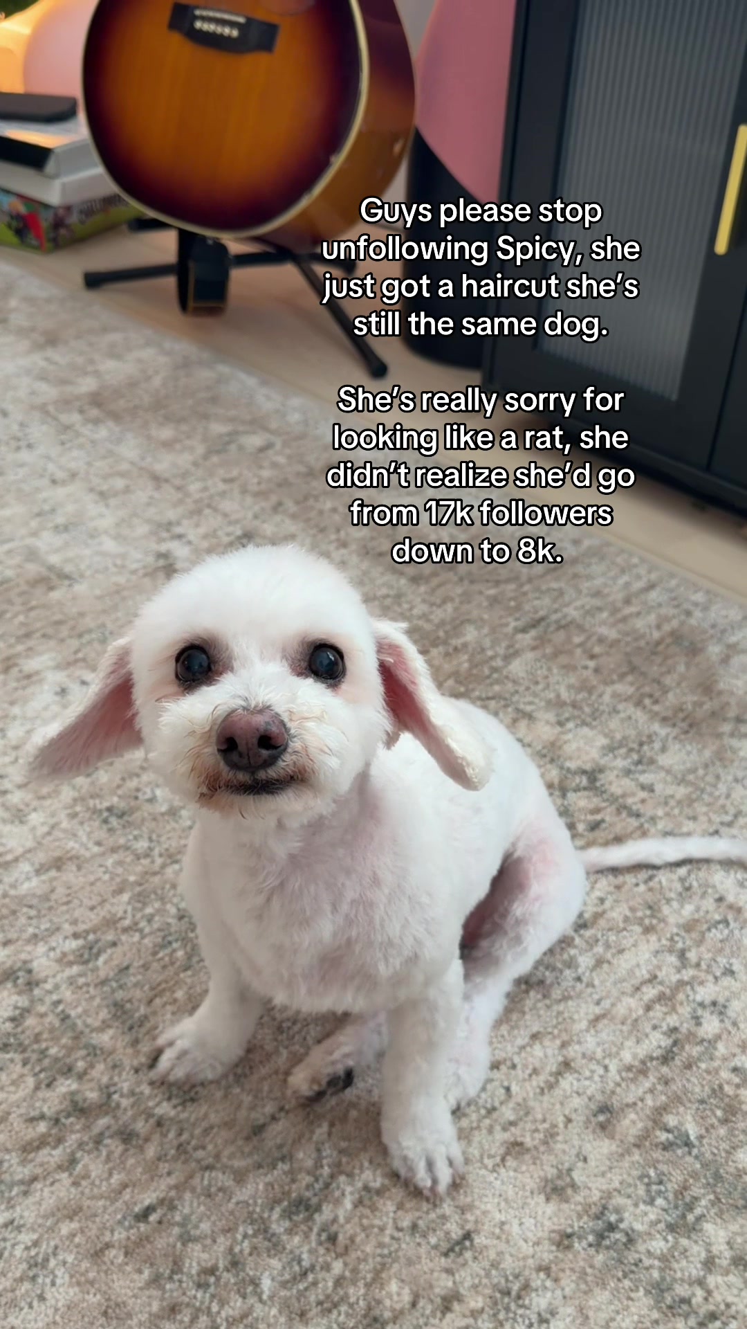 @Spicy The Dog
