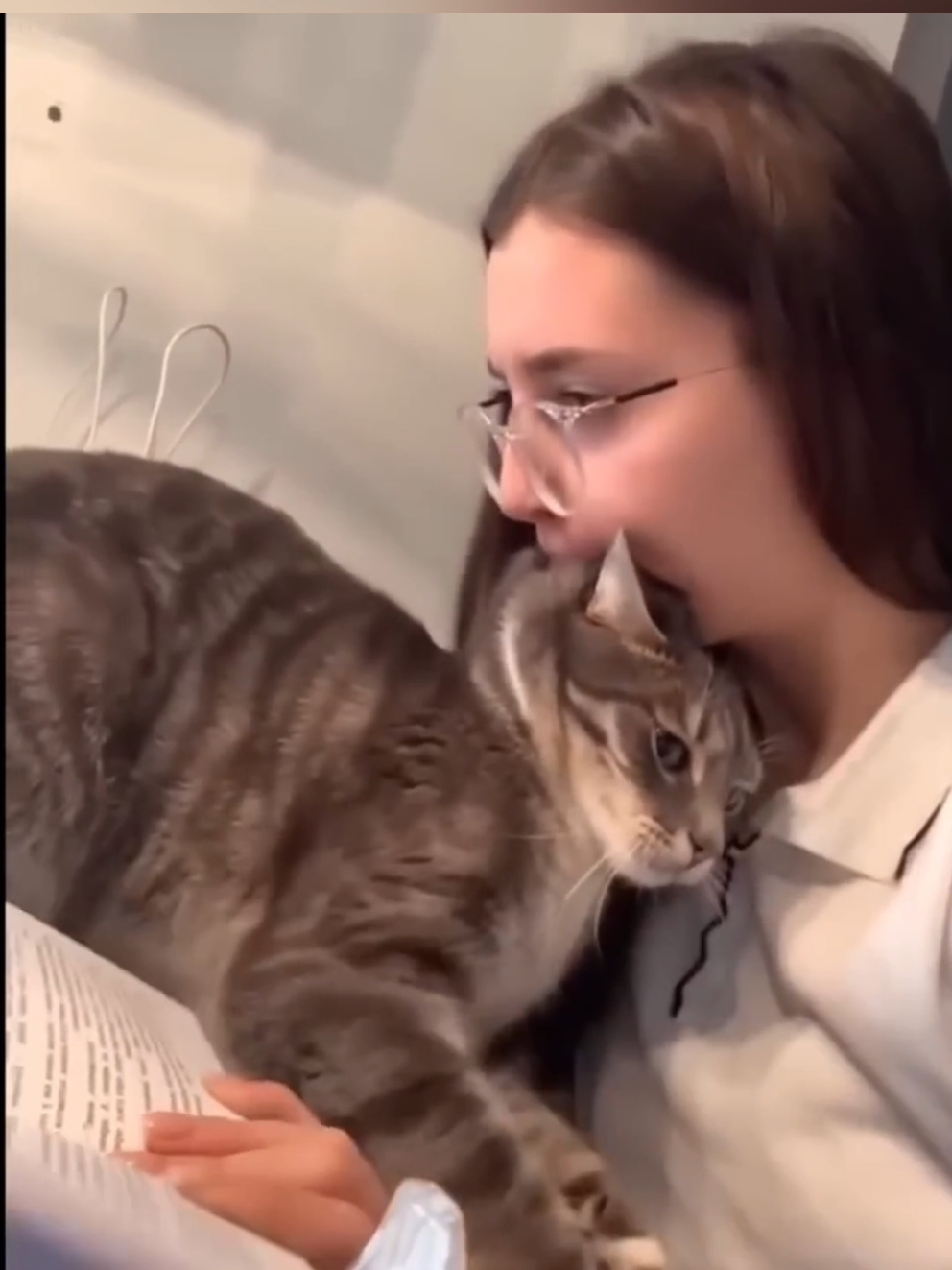 @DailyDoseOfKittyUK