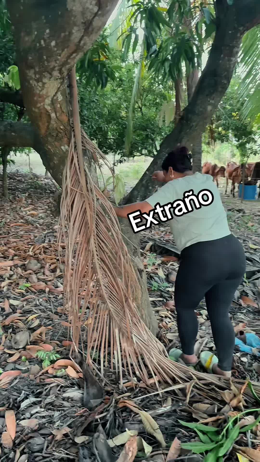 @vero350chiquita