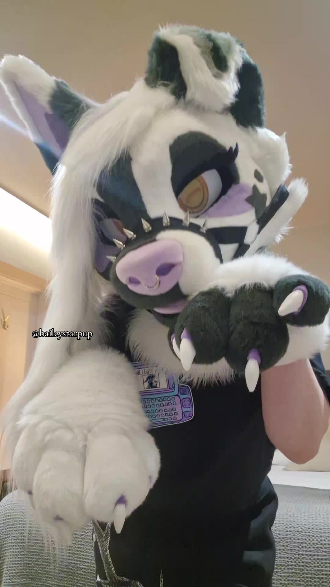 @Bailey (lilpixiekitten)