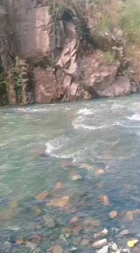 @aylin_20_