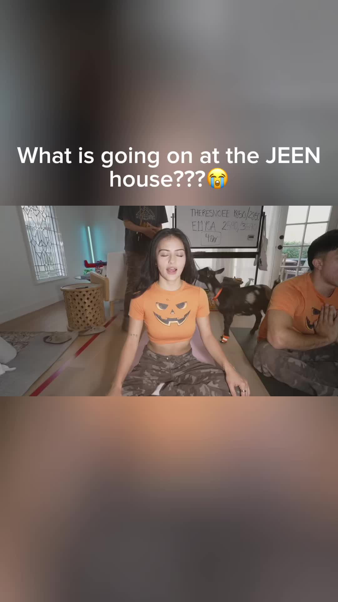 @cliplures